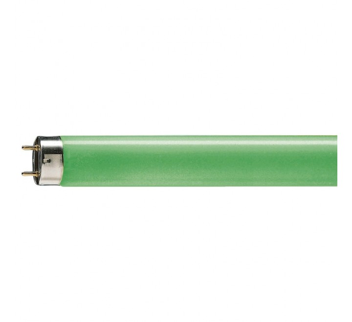 Philips Λάμπα Φθορίου Πράσινη TL-D 18W 1800lm G13 642981