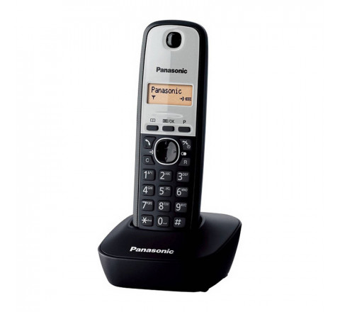 Panasonic Τηλέφωνο Ψυφιακό Ασύρματο KX-TG1611GRG Ασημί